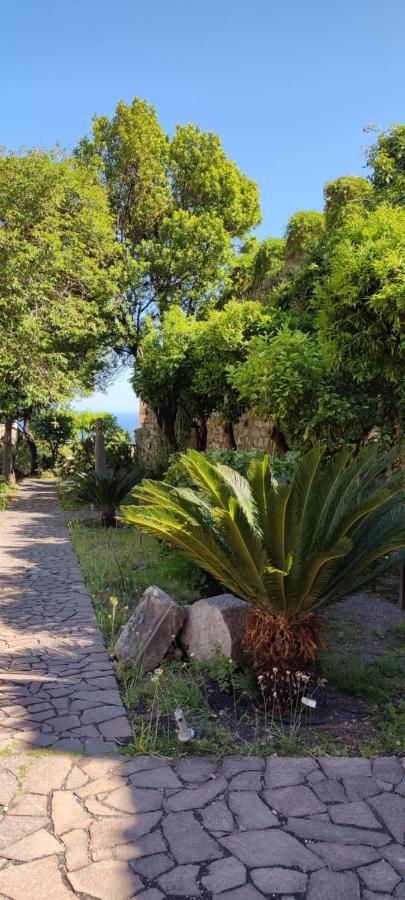 B&B Akropolis Taormina Bagian luar foto